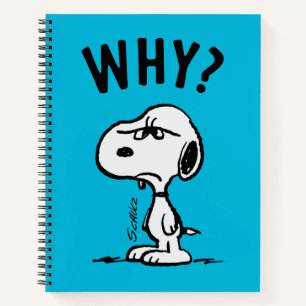 Carnet cacahuètes   Snoopy Se Demande Pourquoi ?