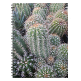 Carnet Cactus