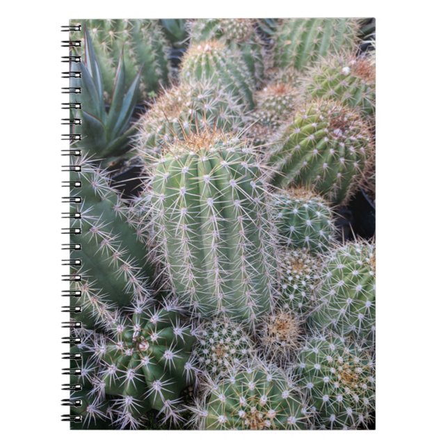 Carnet Cactus (Devant)