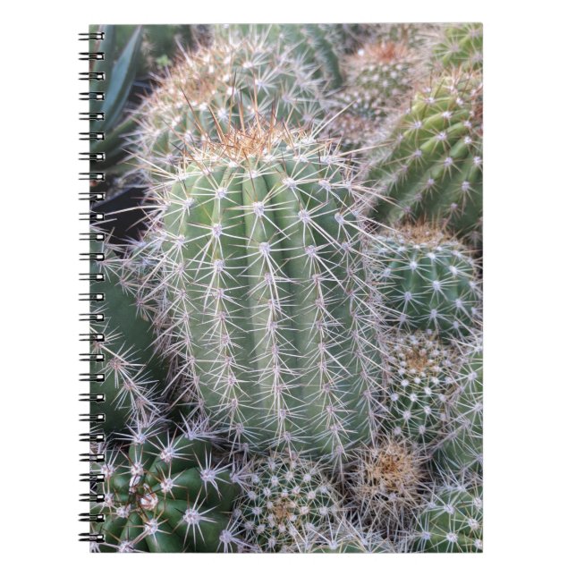 Carnet Cactus (Devant)