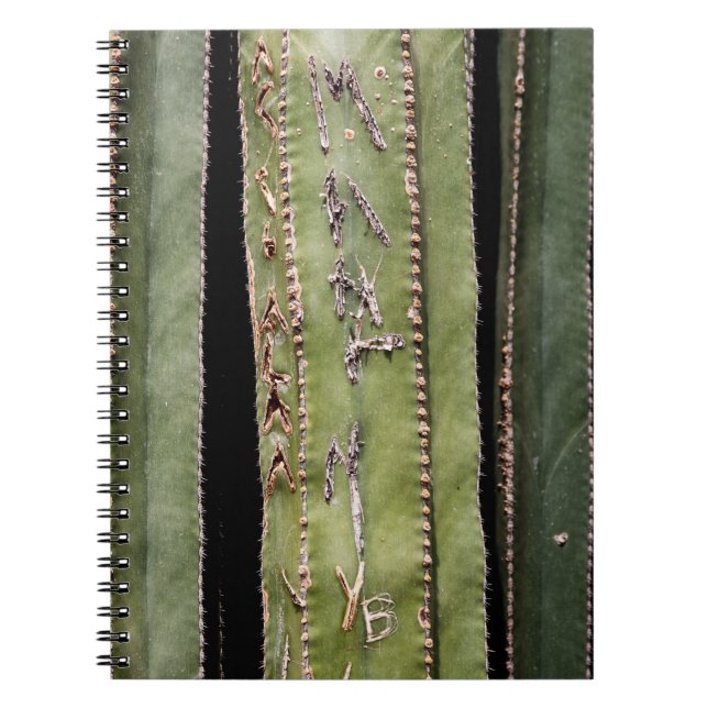 Carnet Cactus (Devant)