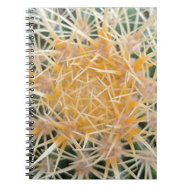 Carnet Cactus