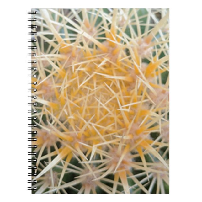 Carnet Cactus (Devant)