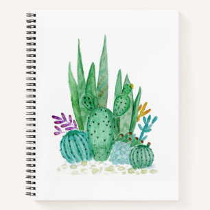 Carnet Cactus, aquarelle