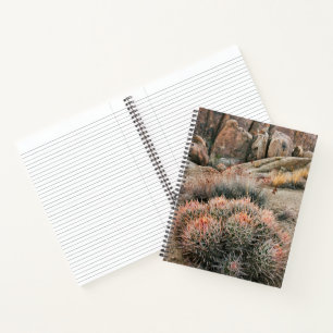 Carnet Cactus Barrel en Californie