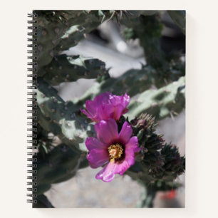 Carnet Cactus Challa en fleurs