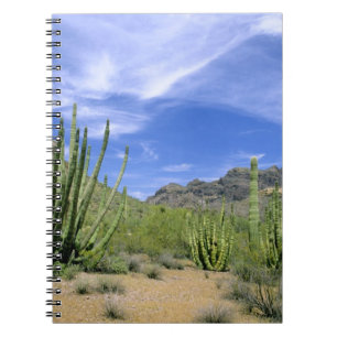 Carnet Cactus du désert à Organ Pipe National Monument,