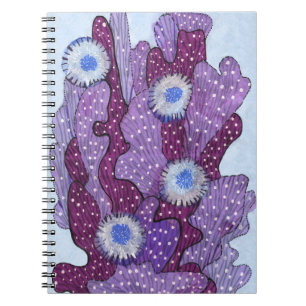 Carnet Cactus en fleurs