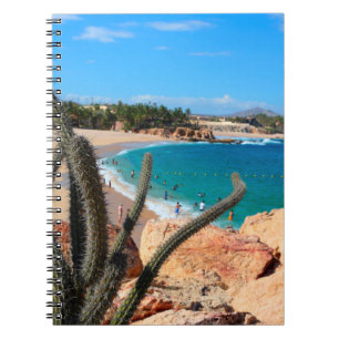 Carnet Cactus sur le sommet rocheux au-dessus de la plage