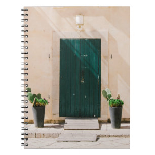 CARNET CACTUS VERT PLANTE PRÈS DE PORTE VERTE