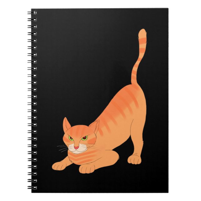 Carnet Caderno gatinho (Devant)