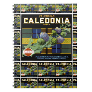Carnet Caledonia Orange Étiquette multi-print