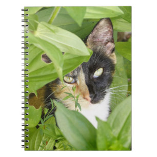 Carnet Calico Cat dans les Zinnias
