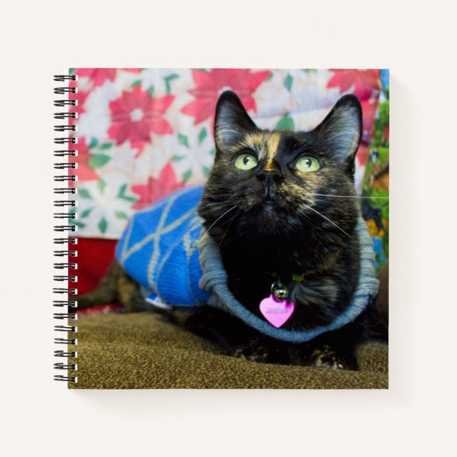 Carnet Calico II (Devant)