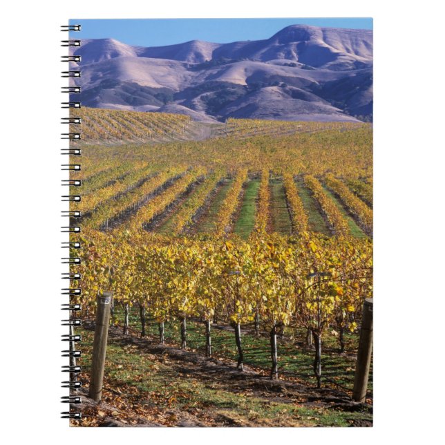 Carnet Californie, Comté de San Luis Obispo, vallée de l' (Devant)