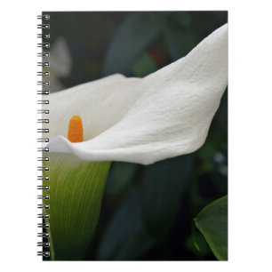 Carnet Calla Lily.JPG