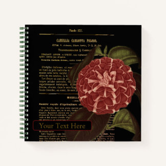 Carnet Camellia Carlotta Peloso Noir