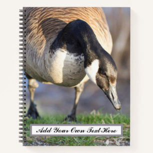 Carnet Canada Goos