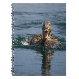 Carnet Canard avec le bec ouvert