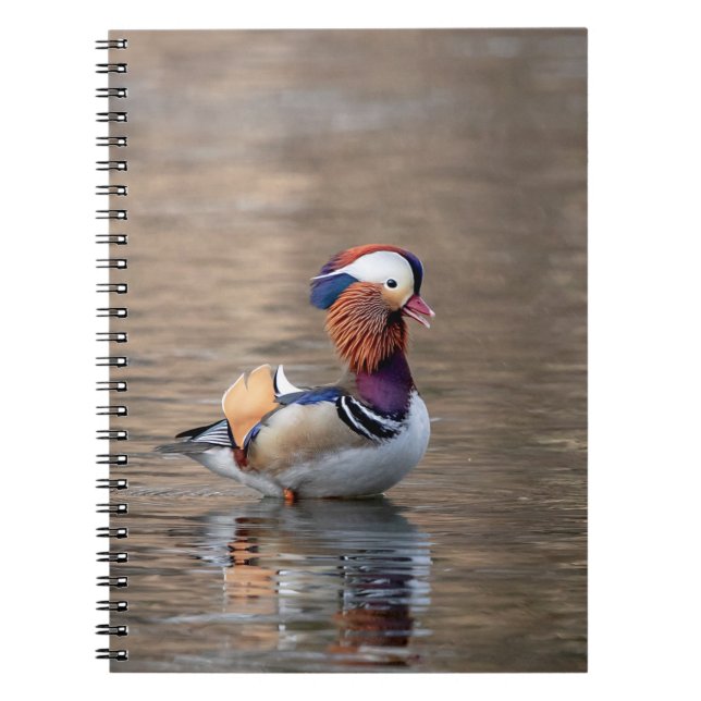 Carnet Canard de Mandarin (Devant)