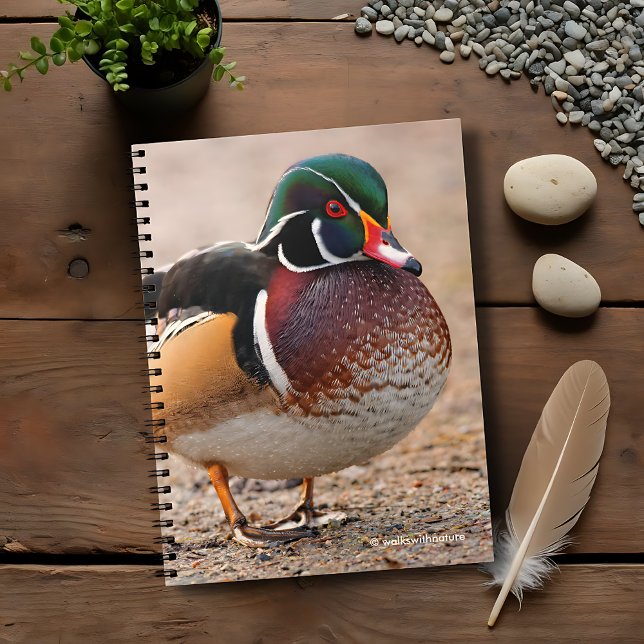 Carnet Canard en bois sur le gravier (Wood Duck on Gravel Journal Cover Photo)