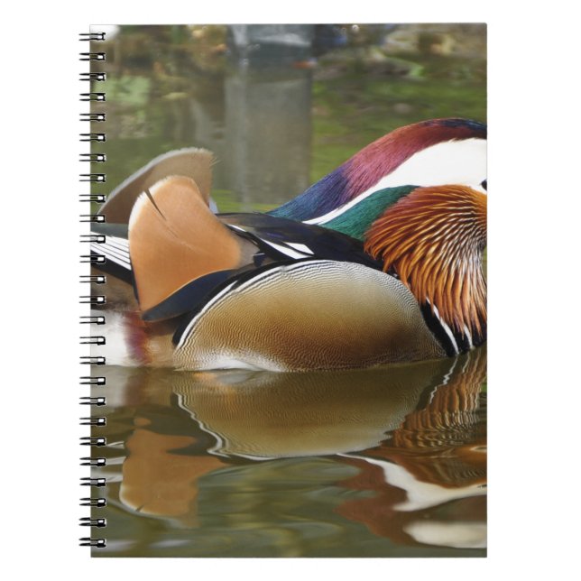 Carnet canard mandarin (Devant)