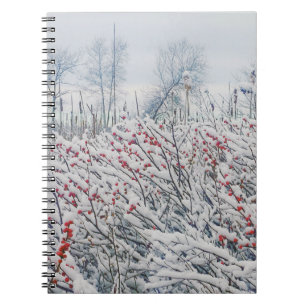 Carnet canneberge et cattelle