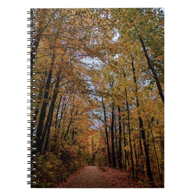 Carnet Canopée d'automne de couleur (Devant)