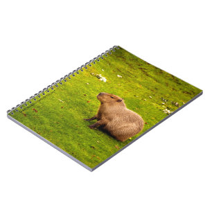 Carnet Capybara