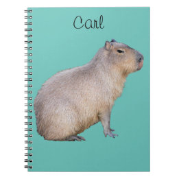 Carnet Capybara