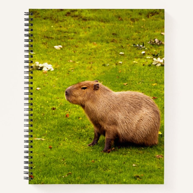 Carnet Capybara (Devant)
