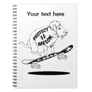 Carnet Capybara Skateboard Ollie