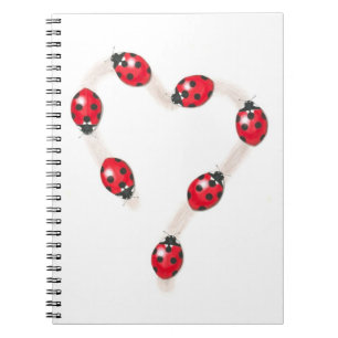 Carnet cardiaque de Ladybug