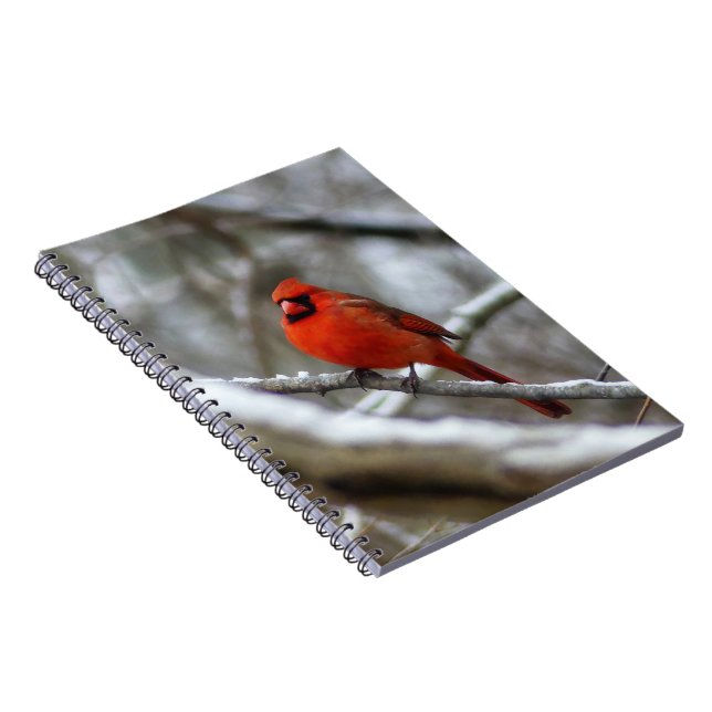 Carnet Cardinal masculin (Côté Droit)