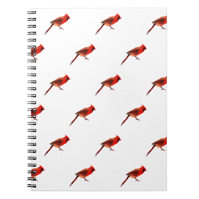 Carnet Cardinal(s) (Devant)
