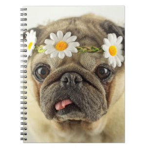 Carnet Carlin avec couronne de marguerite