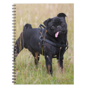 Carnet Carlin noir collant Tounge