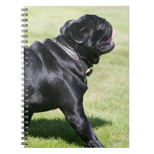 Carnet Carlin noir haletant tout en marchant