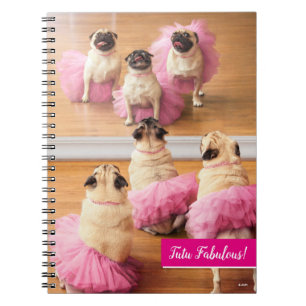 Carnet Carlins Ballerina En Tutus