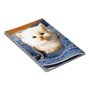 Carnet Carnet-Bleu Jean Poche Kitten