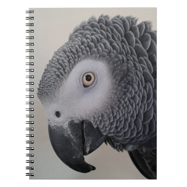 Carnet Carnet/journal de perroquet de gris africain (Devant)