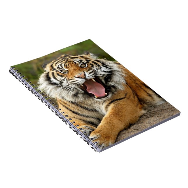 Carnet Carnet-Tigre (Côté Droit)