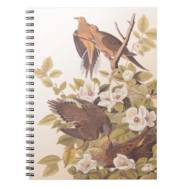 Carnet Carolina Pigeon ou Dove en deuil (Devant)