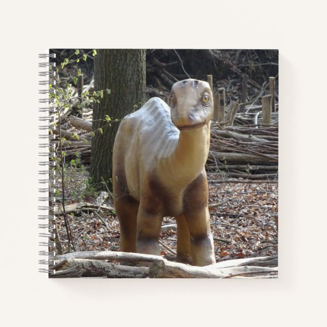 Carnet Carré Petit Beige Dinosaur (Devant)