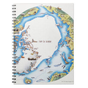Carnet Carte d'Arctique