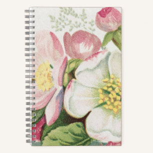 Carnet Carte de Noël Rétro Vintage, Fleurs de Pommier