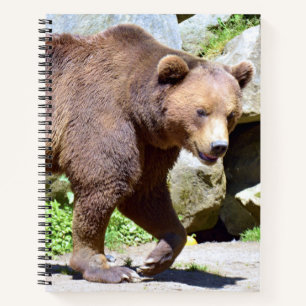 Carnet Carte postale Brown