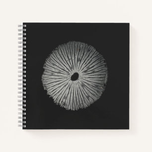 Carnet Carte Spore Print Note