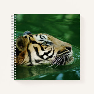 Carnet Casque de natation en tigre malaisien