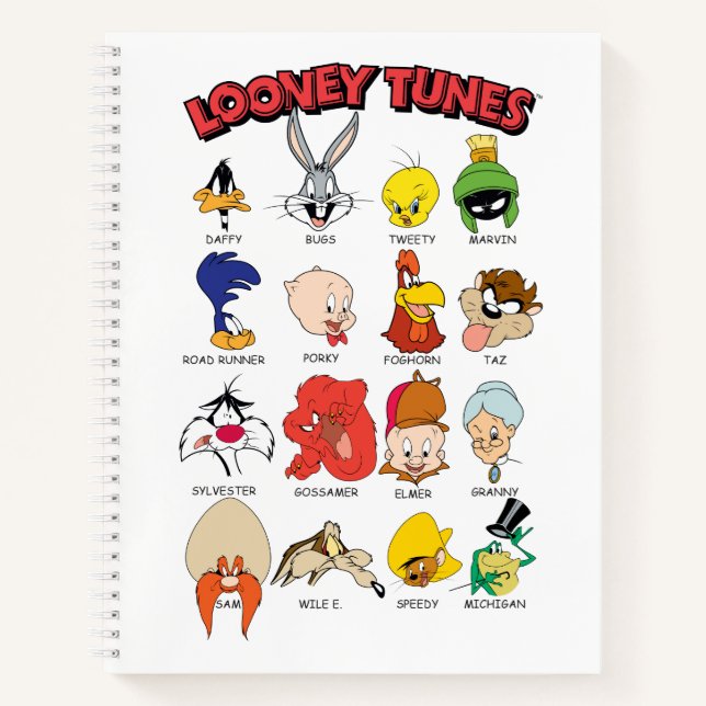 Carnet Casques LOONEY TUNES™ (Devant)